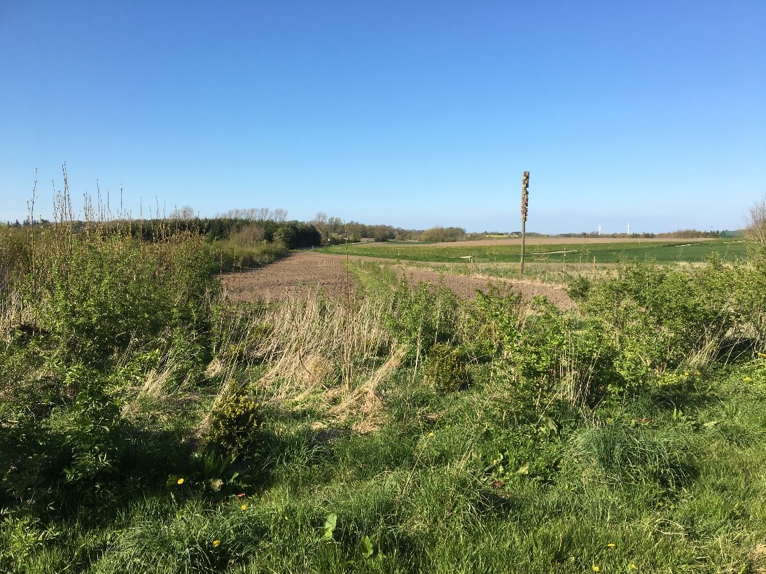 Vildtpleje Landbo Limfjord