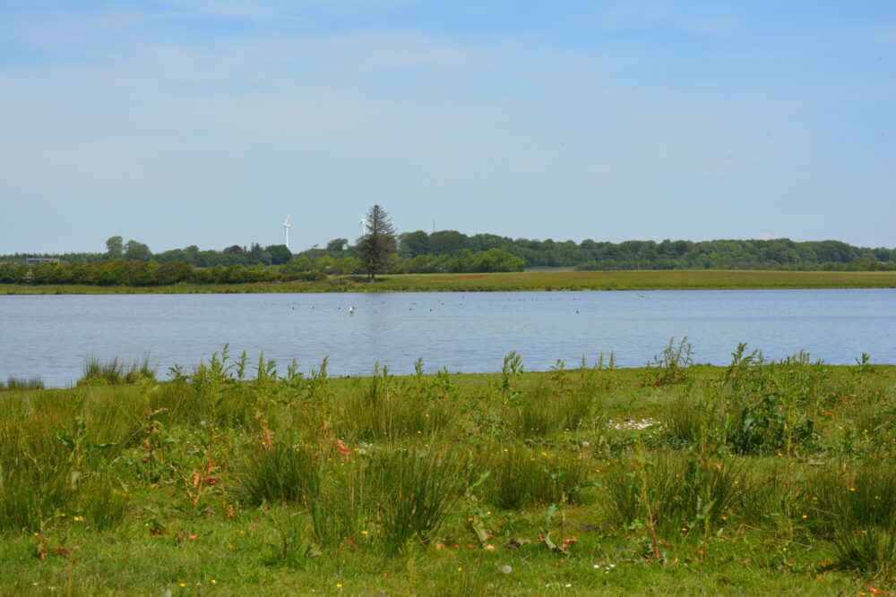 Søområde Grøn fornuft Landbo Limfjord
