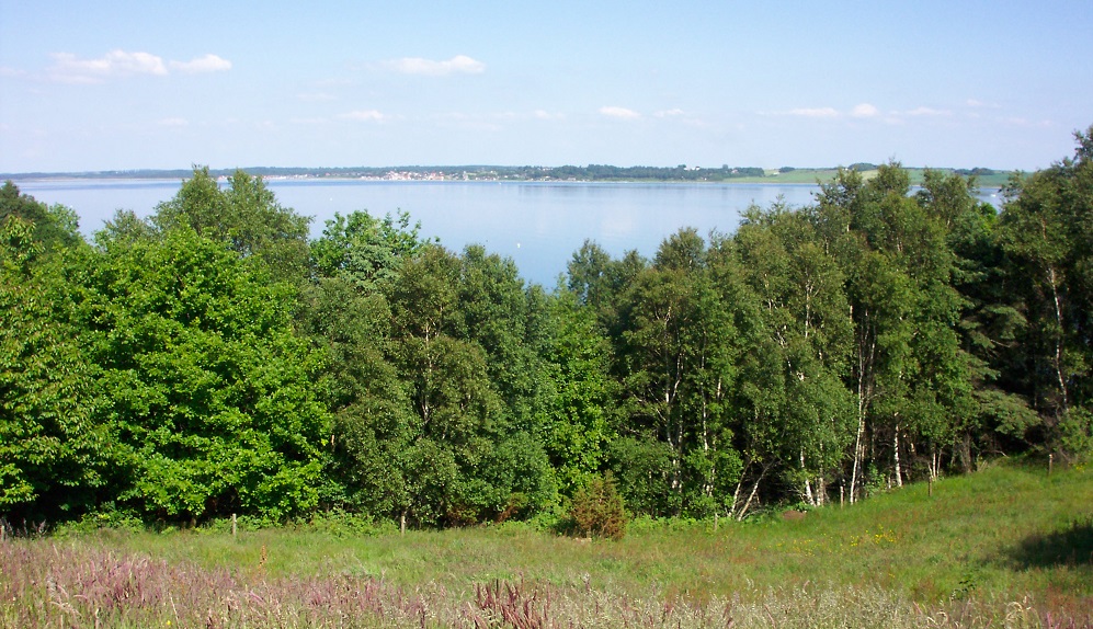 §3-arealer planteavl Landbo Limfjord